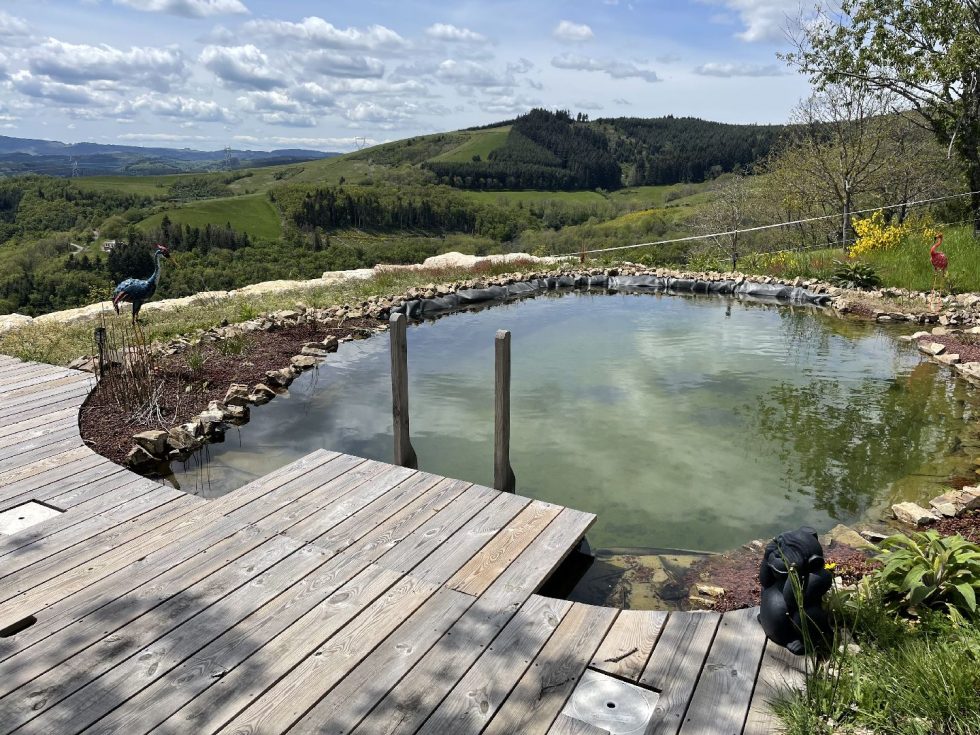 Bassin pour piscine naturelle à Dième proche Tarare
