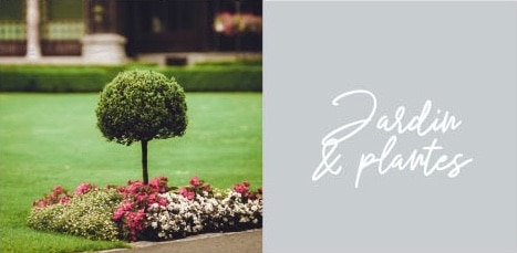 jardin et plantes
